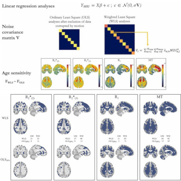 Statistical analyses of motion-corrupted MRI relaxometry data computed from multiple scans