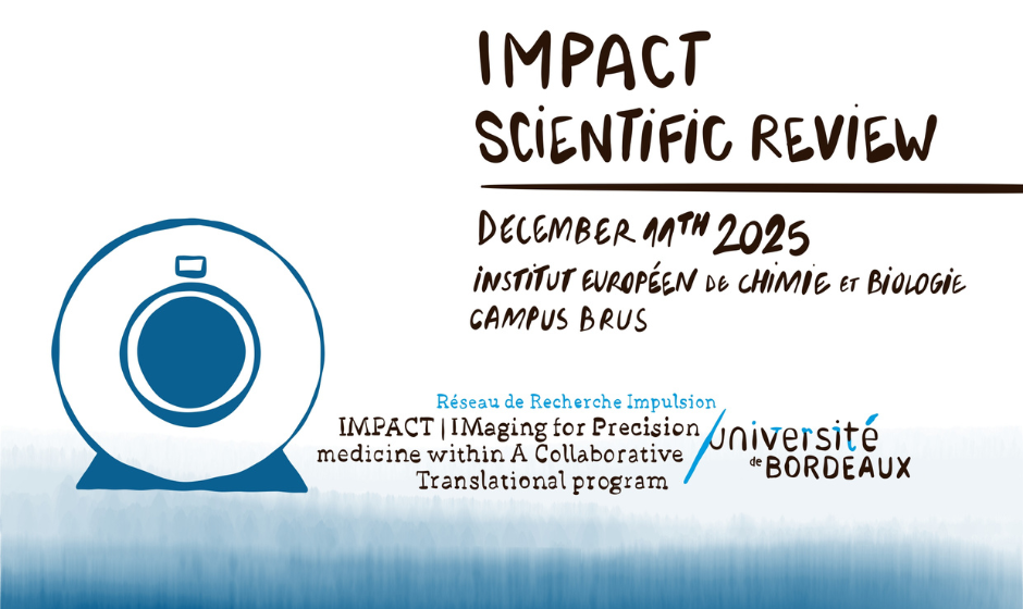 Illustration tirée de l'article Matinée de clôture Impact Département STS Université de Bordeaux