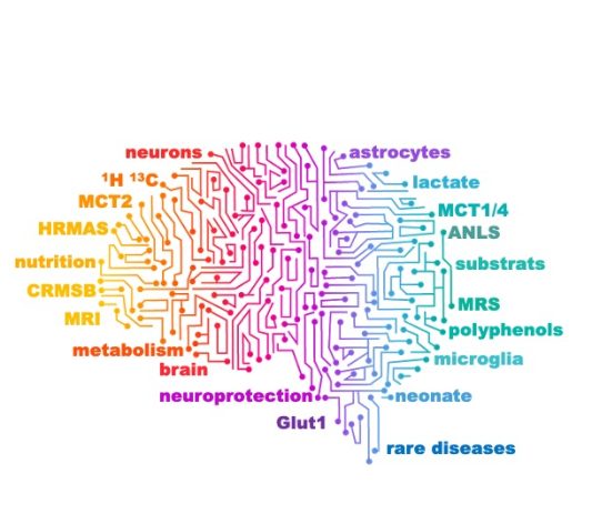 Diapositive1